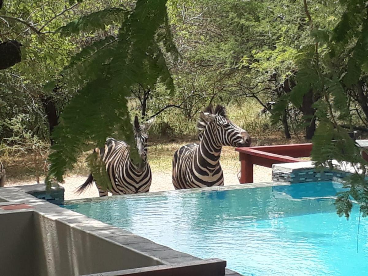 Turaco Lodge - No Loadshedding Marloth Park Exteriér fotografie