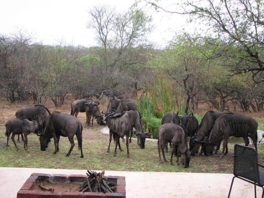 Turaco Lodge - No Loadshedding Marloth Park Exteriér fotografie