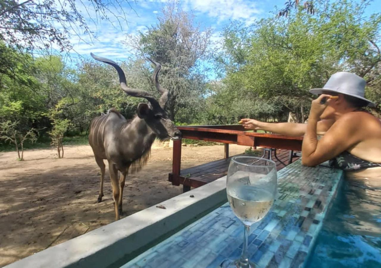 Turaco Lodge - No Loadshedding Marloth Park Exteriér fotografie